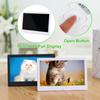 SD USB MMC MS 1024x600 10-дюймовый HD IPS LCD Цифровая фоторамка Аудио Видео Плеер Поддержка Карты с Пультом Дистанционного Управления