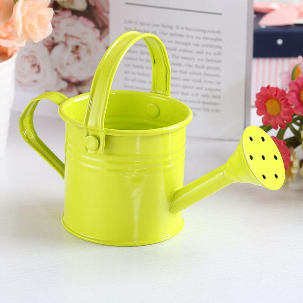 Garden Mini Kawaii Metal Water Spraying Pot Flower Kettle Watering Can