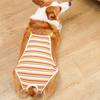 Breathable Female Dog Underwear Adjustable Straps Pet Safety Trousers  Outdoor Walk