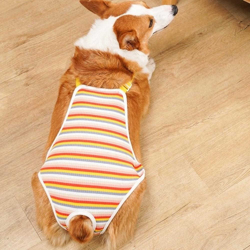 Breathable Female Dog Underwear Adjustable Straps Pet Safety Trousers  Outdoor Walk
