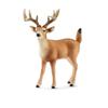 Schleich Wildlife Deer Figure 14253 White-tailed (Male)