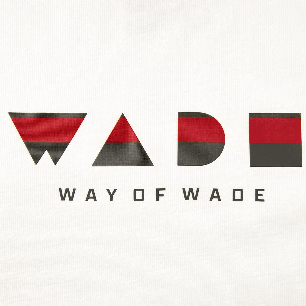 Li Ning Wade Свободная футболка с круглым вырезом и принтом букв, длинный рукав, мужские топы AHSWE35-2