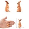 Rabbit Desktop Ornaments Simulated Zoo Rabbit Model Animal Figurine Home Decor Educational Toys