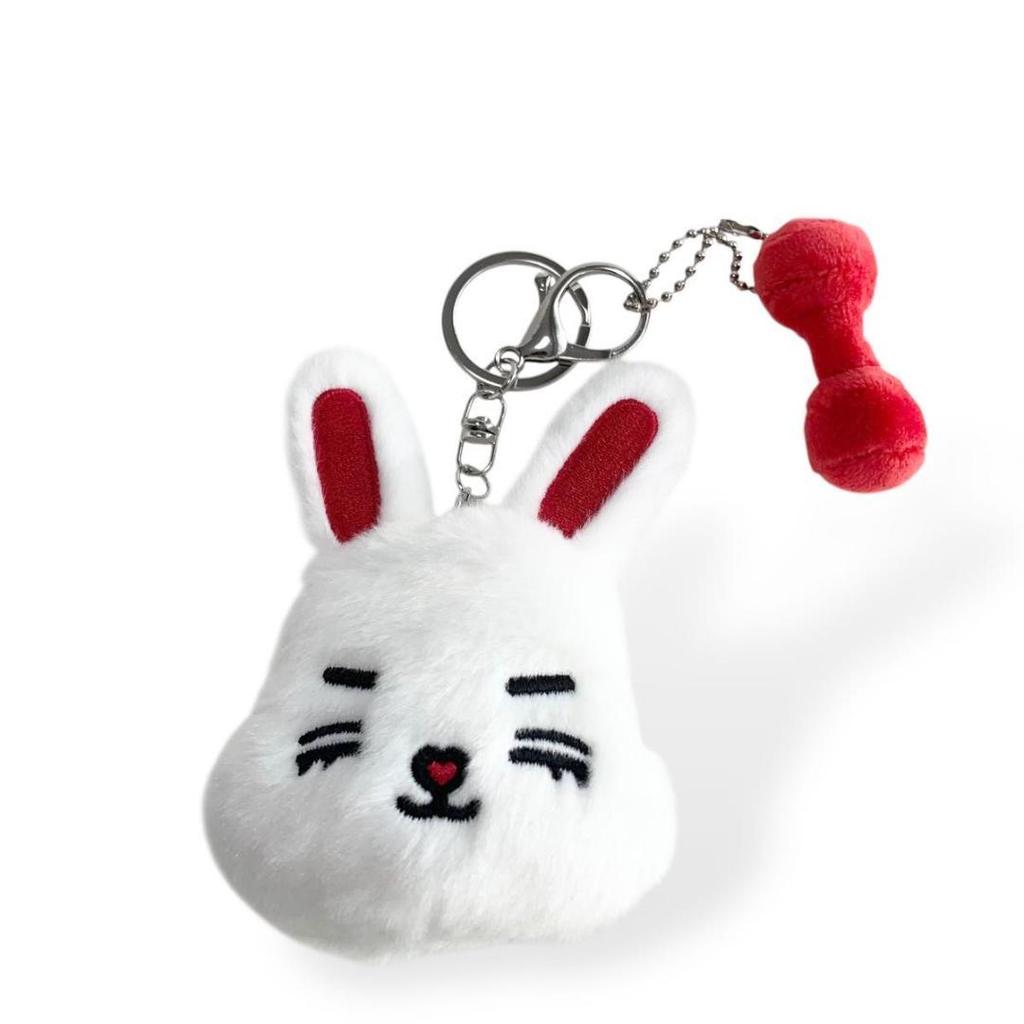 [USED] Miniteen Seventeen ChaeCherry Seungcheol S.Coups Keychain