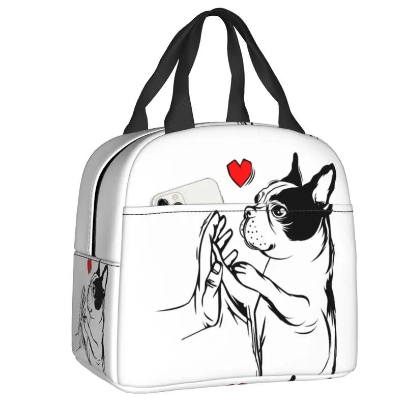 Бостонские терьеры любят хозяек, собак, портативные ланч-боксы, герметичные охладители, термосумки для еды, школьные дети