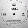 12-дюймовая пластинка CELETIA - Give It Up DES026T Diesel Records 1999 UK Рэп и Хип-хоп/R&B Б/У