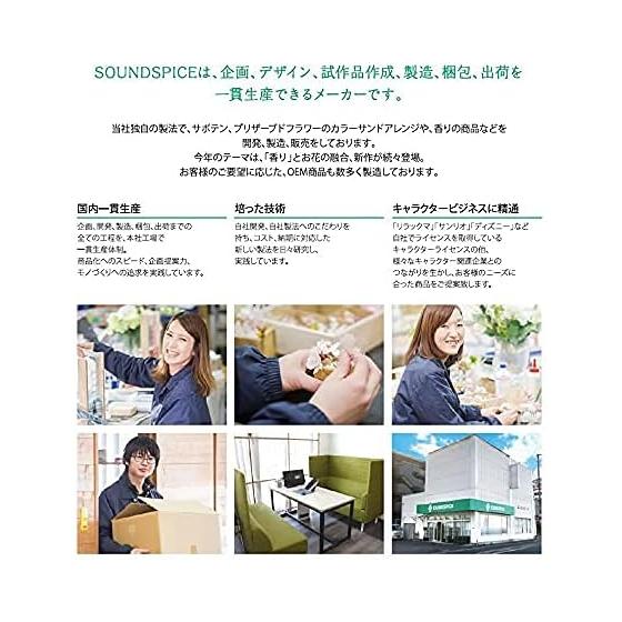 Ручка-шариковая ручка Rilakkuma Herbarium Стандартная 0,5 мм Черная Засушенный цветок Сушеный цветок Чернила Acro BRFS-10EF