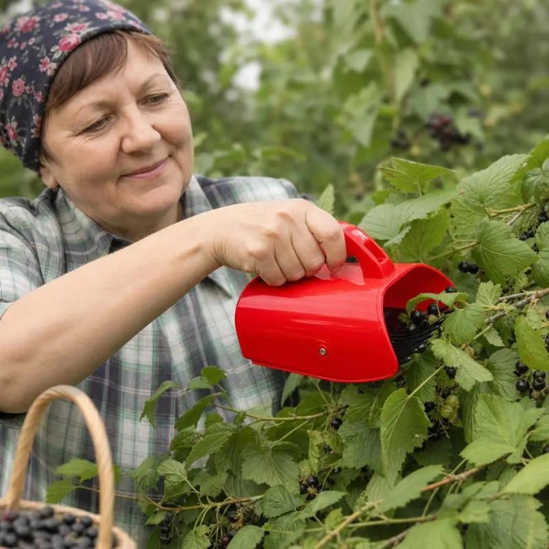 Портативный сборщик черники Легкий инструмент для сбора ягод Грабли Гребень Совок для сбора с удобной ручкой для сада-огорода Сбор фруктов