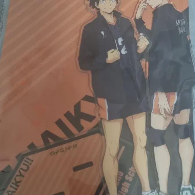 19cm Haikyu Acrylic Stand