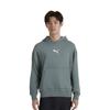 PUMA Sweatshirt Men's Night Green 683480-82