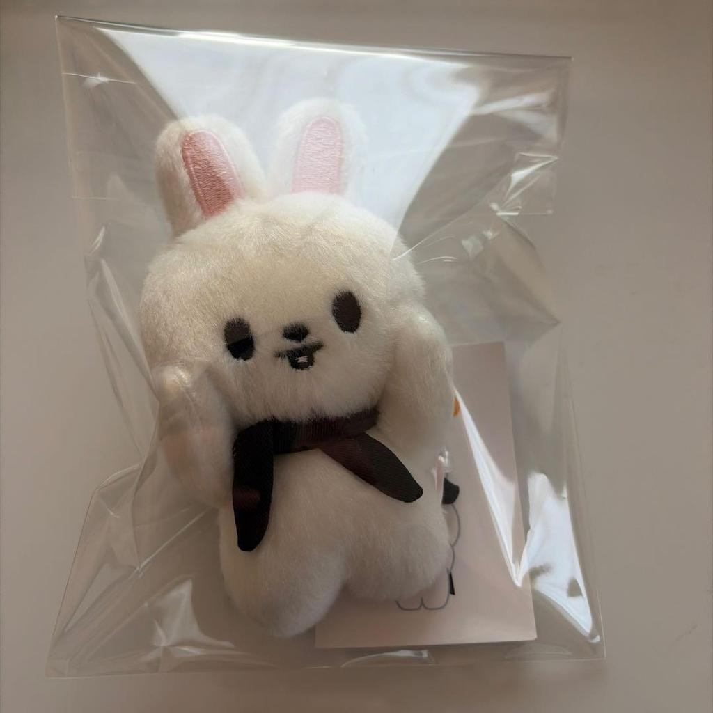 Used Stray Kids SKZOO Magnet Keychain Leebit