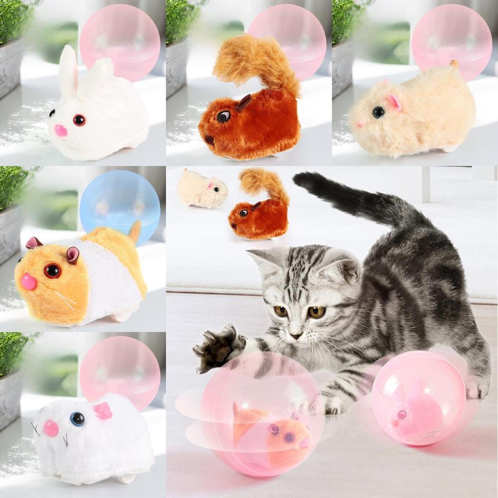 Pet Toy Hamster Rolling Ball Interactive Squeaky Toy For Cats And Kids