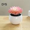 Пластиковые искусственные сочные анти-выцветания красивые маленькие поддельные растения в горшках настольные украшения