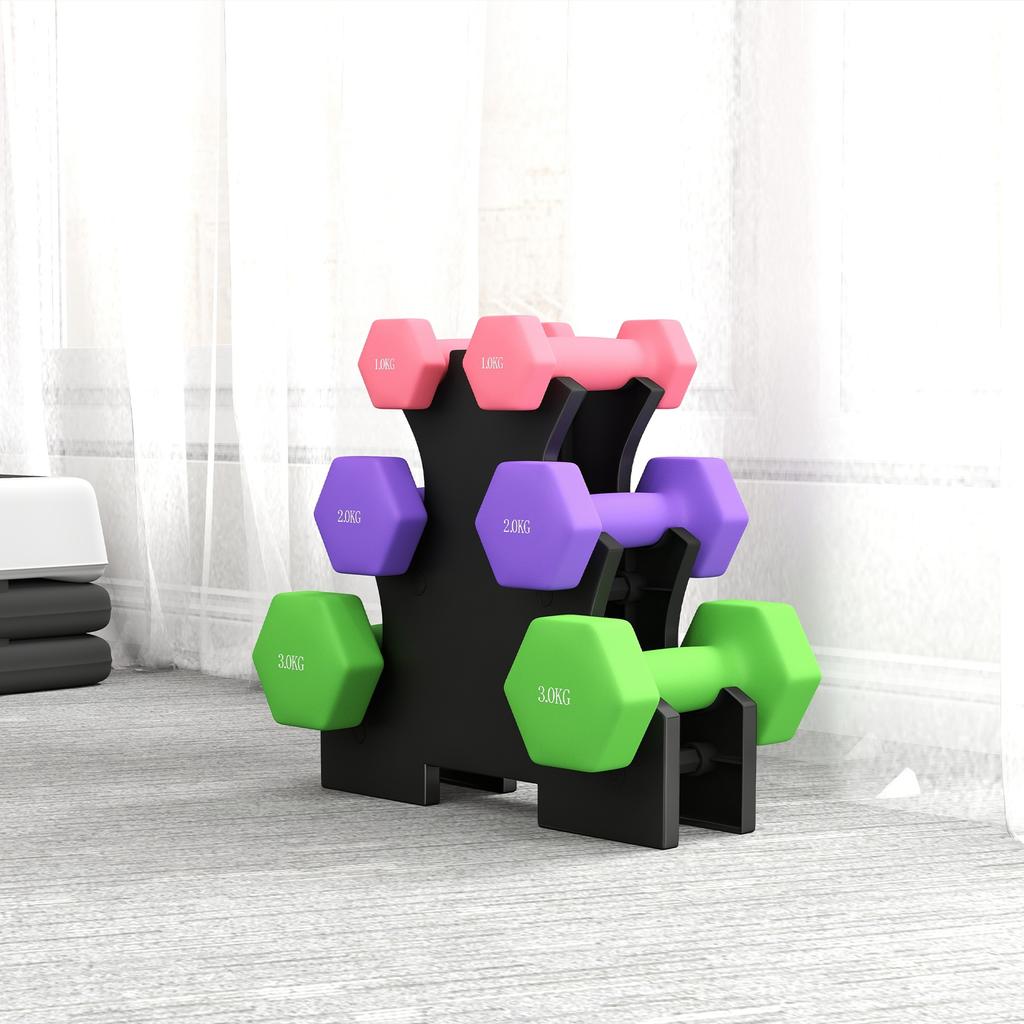 Hex Dumbbells Set With Dumbbell Rack Hand Weights For Strength Training Weight Lifting 2 X 1kg 2 X 2kg 2 X 3kg