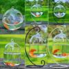 Home Decoration With Rack Holder Vase Ornament Fish Tank Fish Bowl Hanging Glass Fish Bowl
