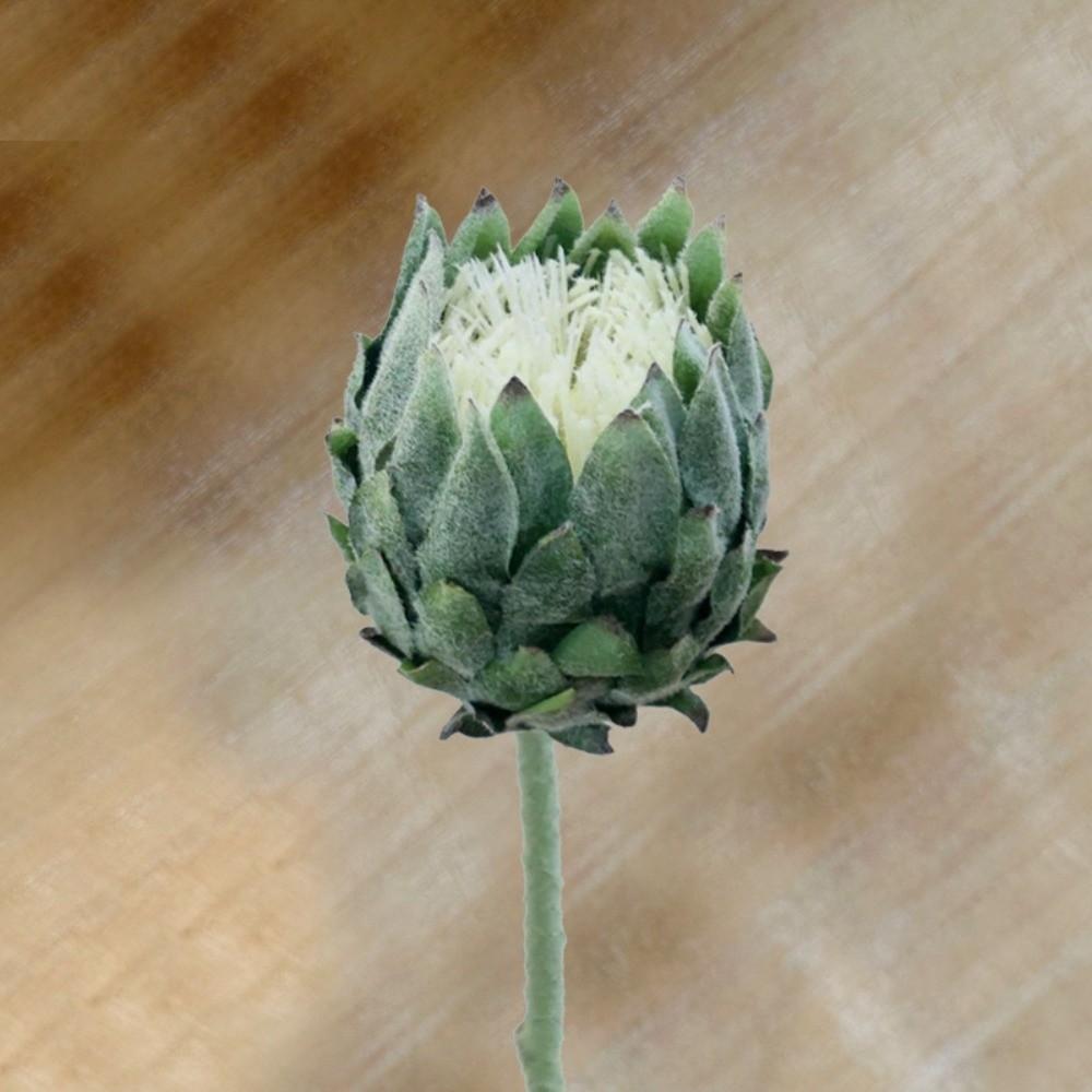 Multicolor Artificial Artichoke Flower Large Size Nordic Thistle Flower  Home Decoration