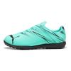 Puma Attackant TT Удобные Легкие Низкие Футбольные Бутсы Детские кроссовки Зеленый Черный 107481-10
