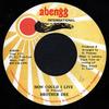 7-дюймовая пластинка BROTHER DEE How Could I Live NONE Abengg Internat 1987 Ямайка Регги Ска Даб Б/у
