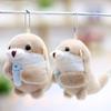 Cute Plush Doll Wish To Hold Fish, Otter Keychain Pendant Creative Grab Machine, Doll Toys, Schoolbag Bag Hanging Decoration