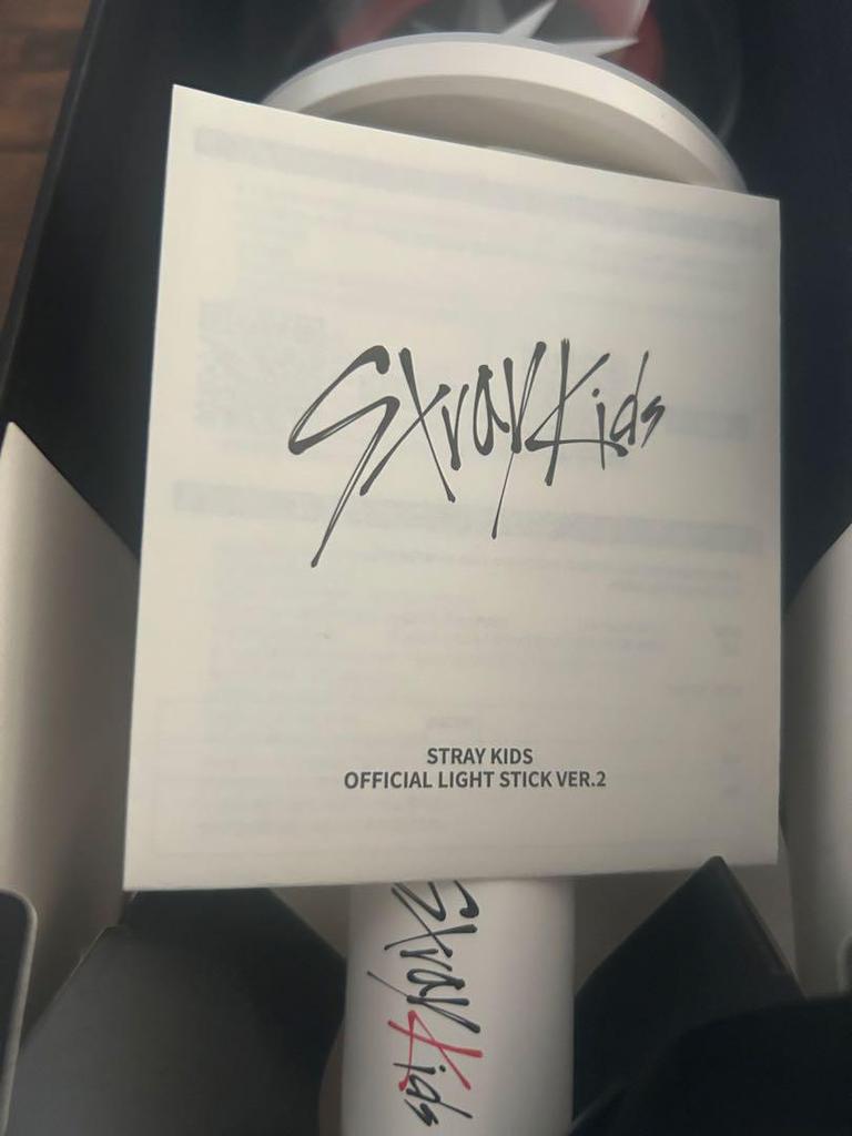 [USED] Stray Kids Official Skiz Penlight