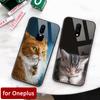 Brand New For Oneplus 7pro Case Glass Back Cover Cute Cat Oneplus Coque 6t Case for Oneplus 1+ 5 5T 6 Oneplus 6 6t 7 Pro