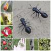 Outdoor Insect Figurine Lifelike Micro Landscape Delicate Insect Fridge Magnet  Home