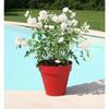 Flower Pot - - Soleilla Round - Ø 49 X 44.8 Cm - Red