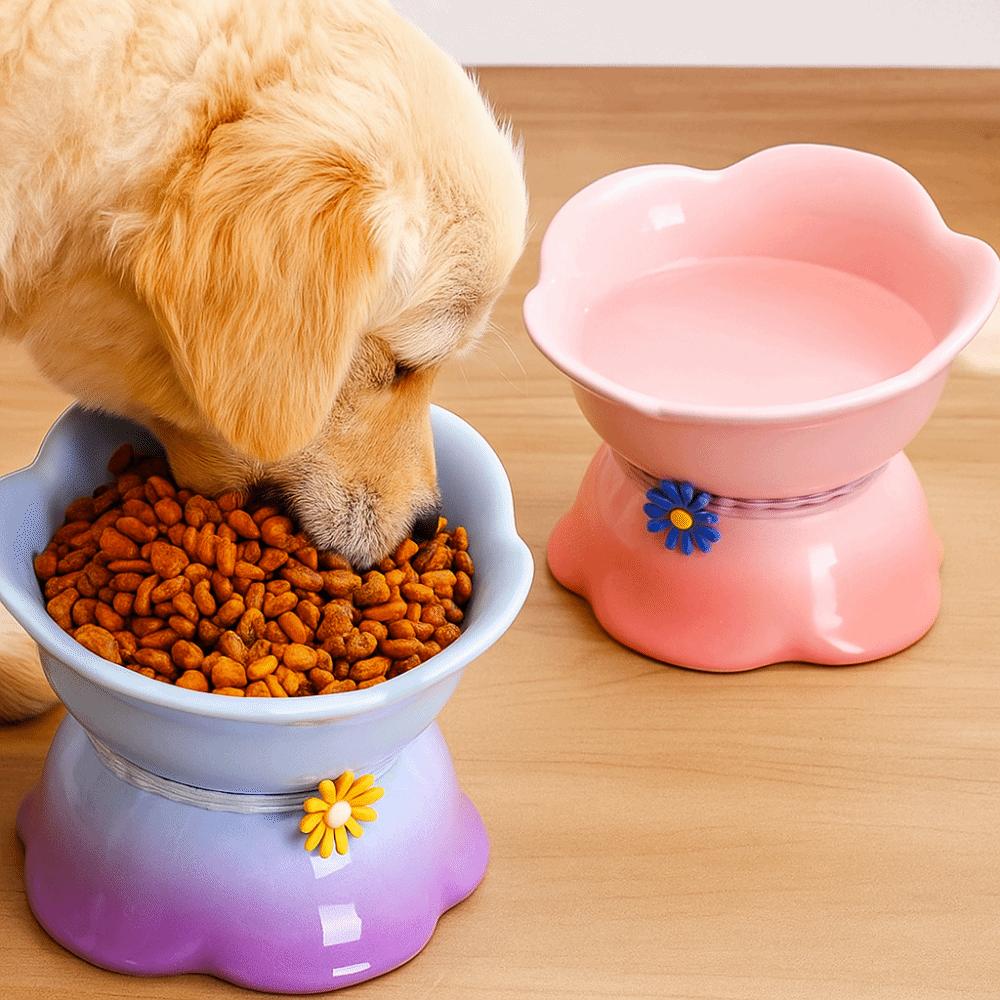 Flower Shape Pet High Foot Bowl Gradient Color Pet Drinking Feeder Multi-use Cat Bowl  Kitten Puppy