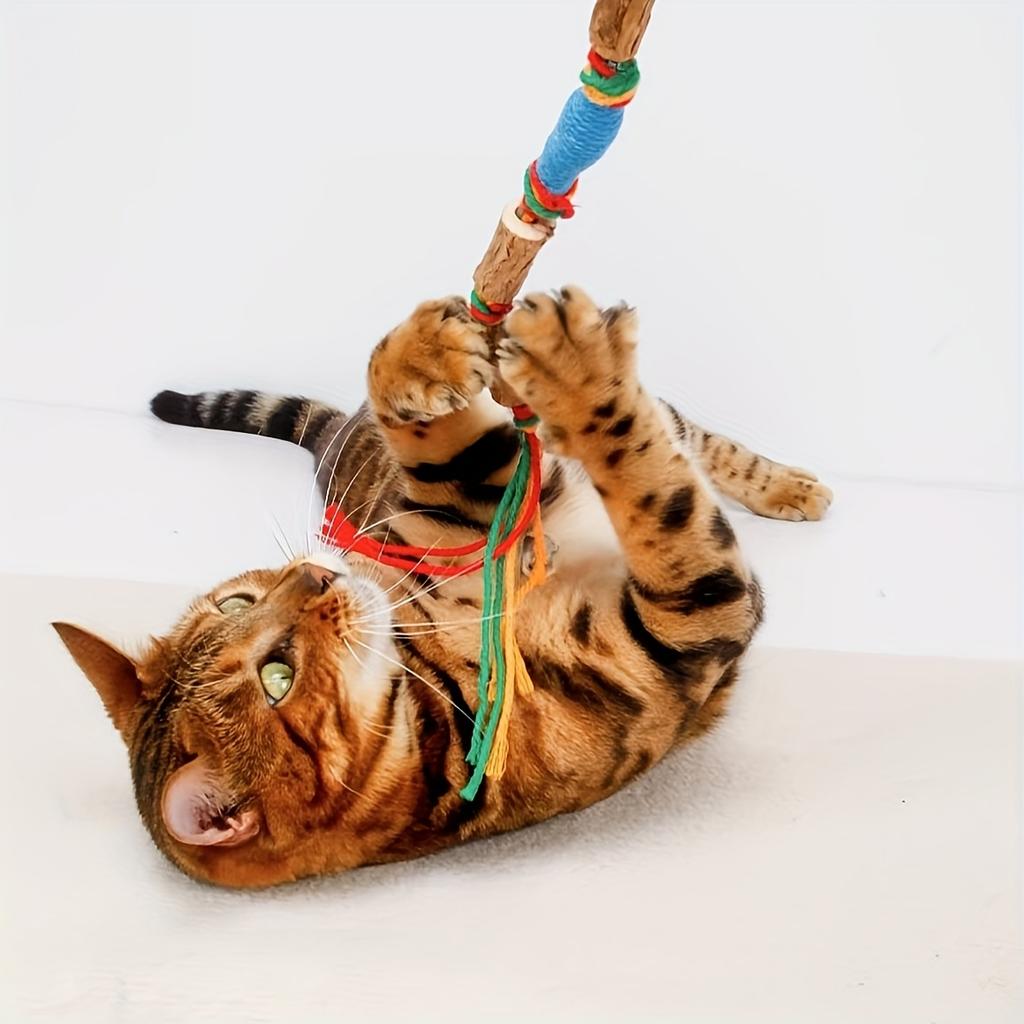 Игрушка для кошек с кошачьей мятой и плодами галлов Прочная плетёная веревка для чистки зубов и жевания Интерактивная удочка-дразнилка с кошачьей мятой