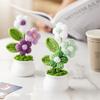 Новый Мини Крючком Цветок В Горшке DIY Ручное Вязание Искусственные Цветы Горшок Крючком В Горшке Роза Цветок Настольный для Офиса