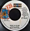7-дюймовая пластинка BUJU BANTON - What Is To Be none 321 Strong 2000 Ямайка Регги, Ска и Даб Б/У