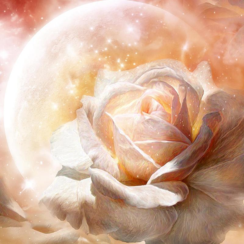 5D DIY Алмазная вышивка Мандала цветы вышивка крестиком распродажа полная квадратная круглая алмазная живопись кошка животное Алмазная мозаика домашний декор