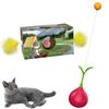 Little Bean Cat Toy, 2-in-1 Cat Toy with Daruma Doll, DIY Box, Cat Ball, and Feather Toy, Solitaire Cat Toy, Stress Relief, Exercise Relief,