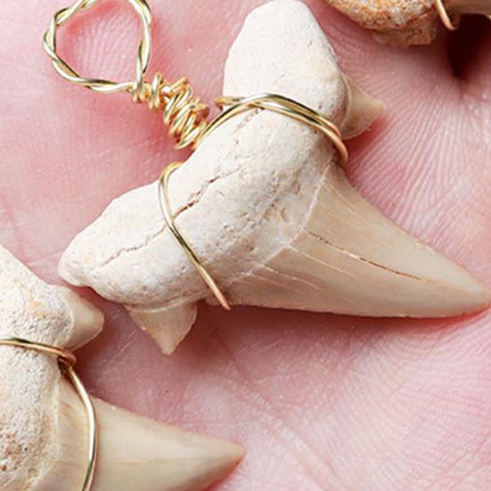 Привлекательное ожерелье Тонкая работа Сплав Подвеска в форме зуба акулы Ожерелье для повседневной носки