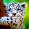 Full 5D Diy Diamond Painting Cute Little Leopard Diamond Embroidery Cross Stitch Home Decor Handmade