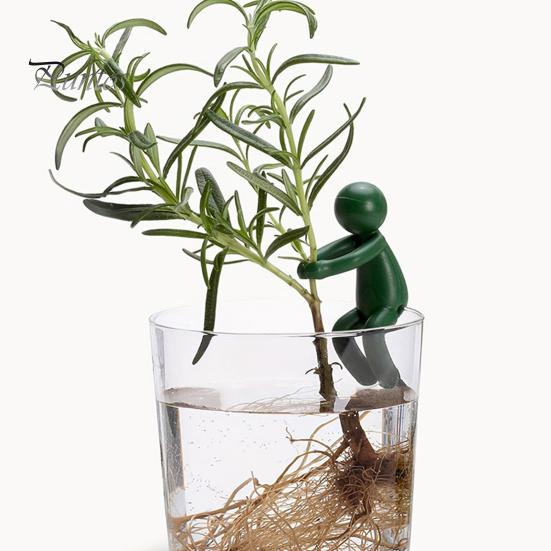 6 шт. держатель для размножения растений стебли ростки побеги ветки держатель для черенков растений фиксирующий зажим комнатная и уличная садовая станция для размножения растений