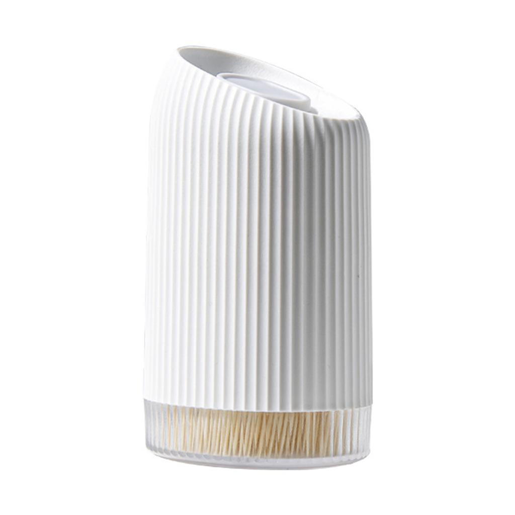 Elegant Toothpick Case Waterproof Toothpick Dispenser Dustproof Toothpick Box Plastic Material Toothpick Container