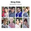 MAXIDENT Official Photocard YES24