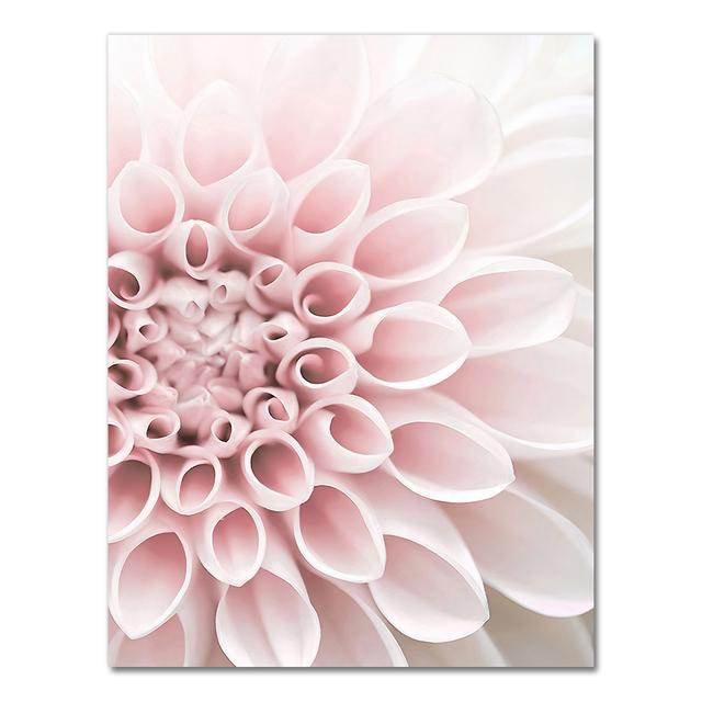 Розовый цветок фаленопсис пион георгин цитаты настенная живопись на холсте плакаты на скандинавскую тему и принты настенные панно для гостиной без рамы