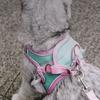 Soft Breathable Vest Harness Dog Leash Cat Harness Pets Vest Cat Accessories Cat Collar