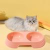 Candy Color Durable Portable Cat Drinking Bowl Dog Food Tray Cat Feeding Bowl Cat Double Bowl
