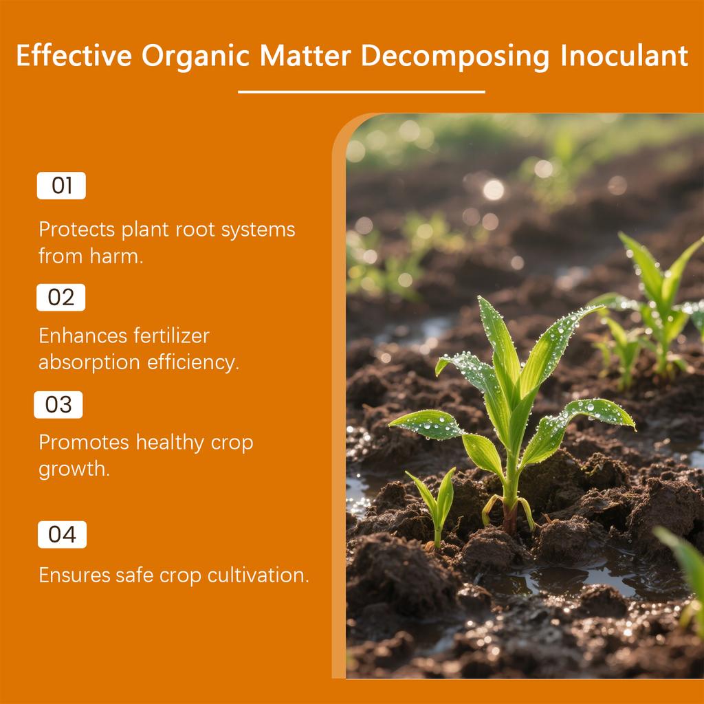 Порошок для роста растений, Универсальный порошок для посадки для корней растений, Эффективное поглощение удобрений и уход за посевами.