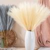 Свадебные искусственные цветы Мини Пампасы Тростник Домашний декор Ins Wind Creative
