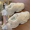 2024 Winter Plus Velvet Dad Shoes - Korean Style Women's Height-Increasing Sports Sneakers, Warm and Casual (FB3306-2)
