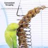 1/2Pcs Multi-Purpose Bird Feeder Stainless Steel Cage Hanging Basket Parrot Feeder Pet Feeding Rack Supplies for Bird Parrots