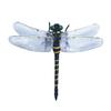 Fake Dragonfly Decoration with Lanyard/Pin Portable Outdoor Camping Gnats Fly Repellent Simulated 3D Dragonfly Model Ornament Kids Educational Toy
