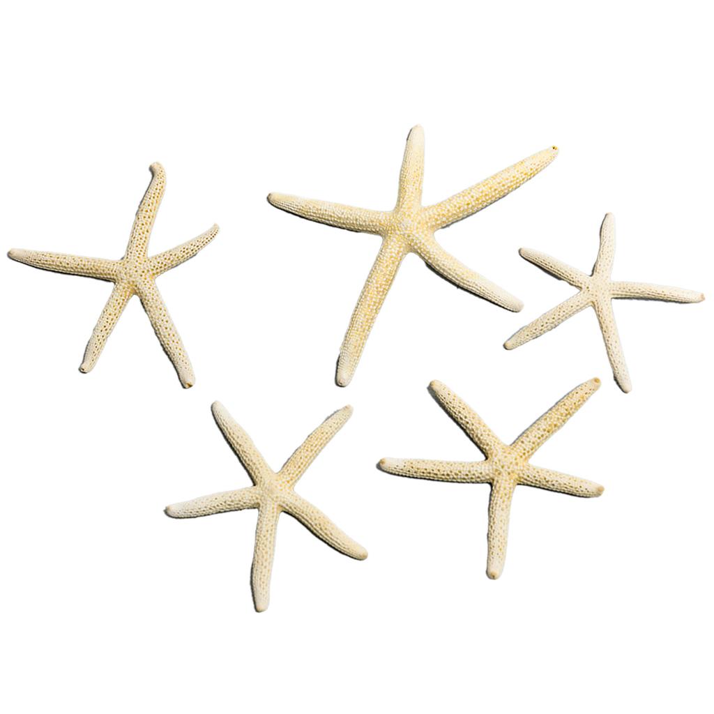 Fish Tank Starfish Decor Unique Beautiful Starfish Ornament Set for Home Aquarium DIY Photo Frame