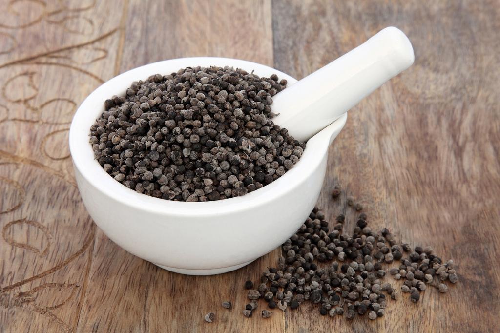 SAFLAX Garden in the Bag - Monk's Pepper - 30 семян - С субстратом в подходящем пакете - Vitex agnus-castus