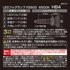 Carmate Car LED Fog Lamp GIGA F2800 Series HB4 6500K