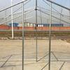Xilu Professional Outdoor Tents